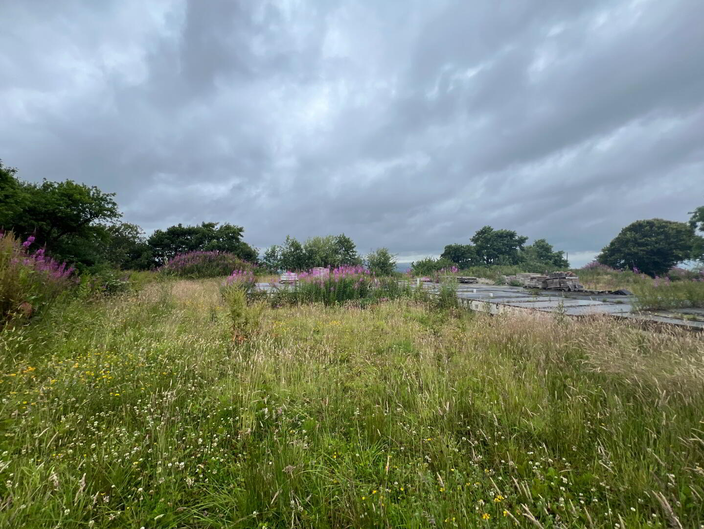 Site With FPP (subfloor Constructed), 80m West Of 70 Cahore Road 11 of 12