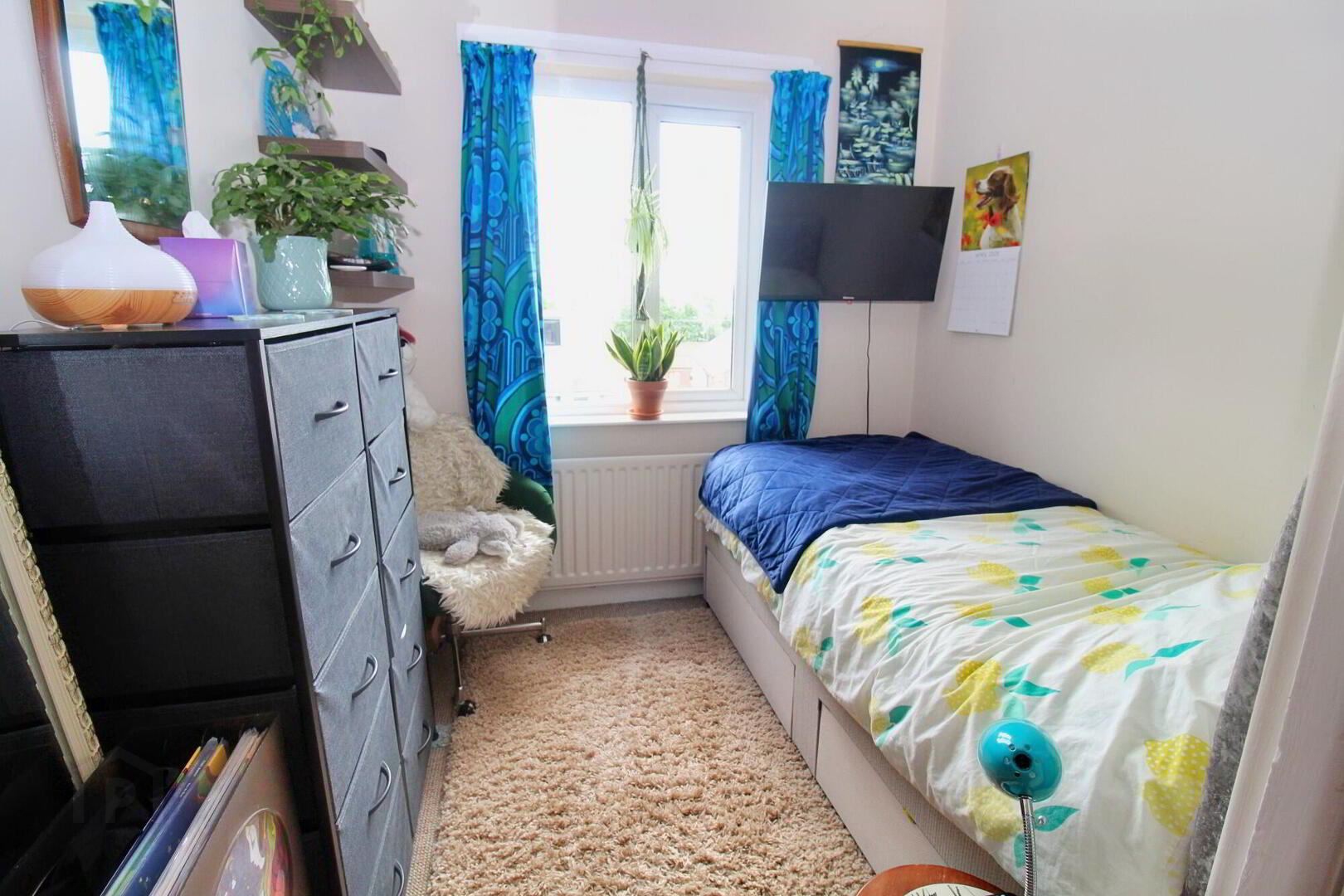 40 Windmill Road 13 of 17