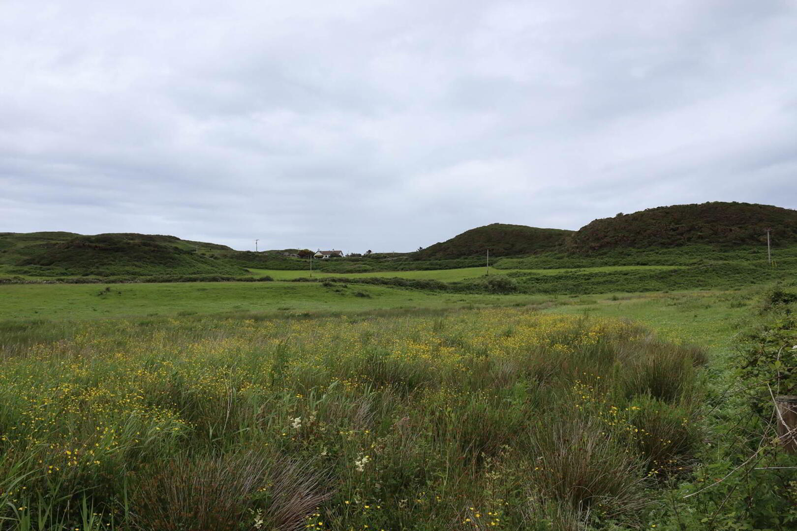 Approx. 22 Acres Land, Coolnagrock 3 of 15