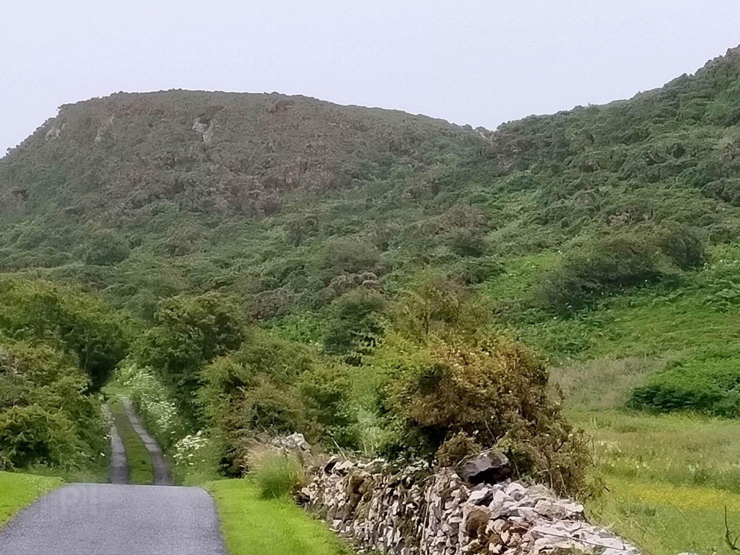Approx. 22 Acres Land, Coolnagrock 4 of 15