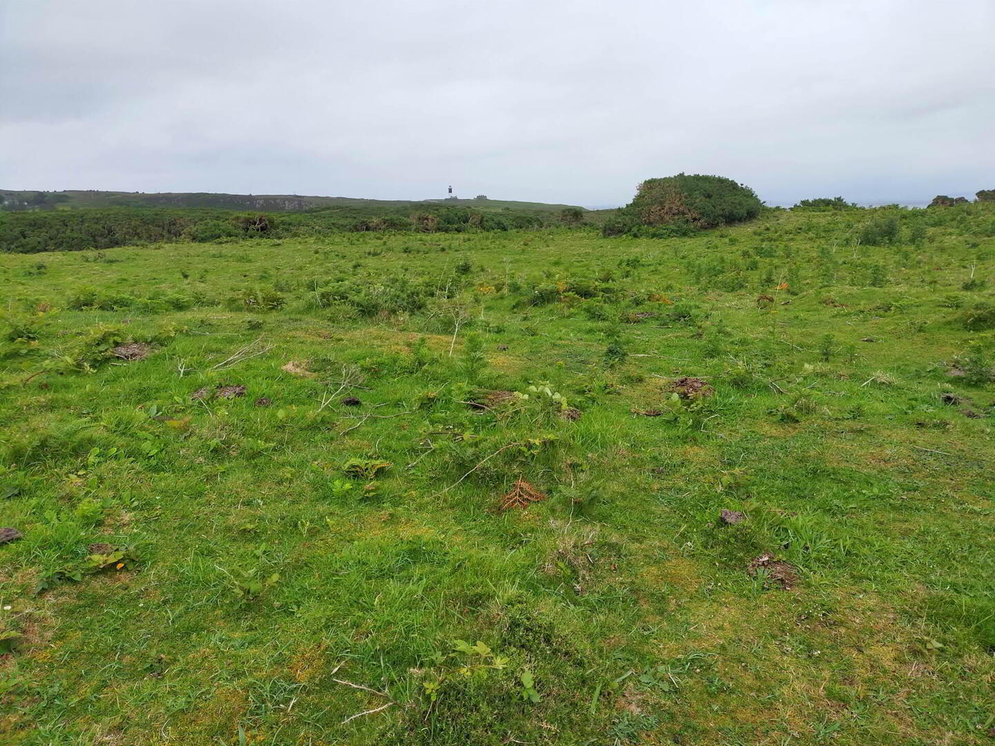 Approx. 22 Acres Land, Coolnagrock 10 of 15
