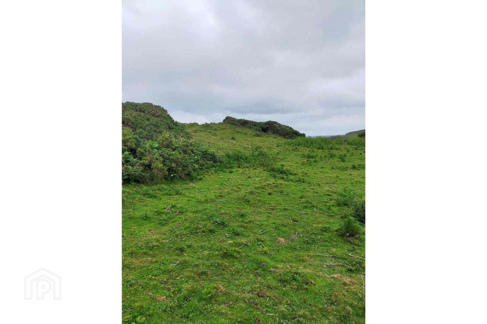 Approx. 22 Acres Land, Coolnagrock 6 of 15