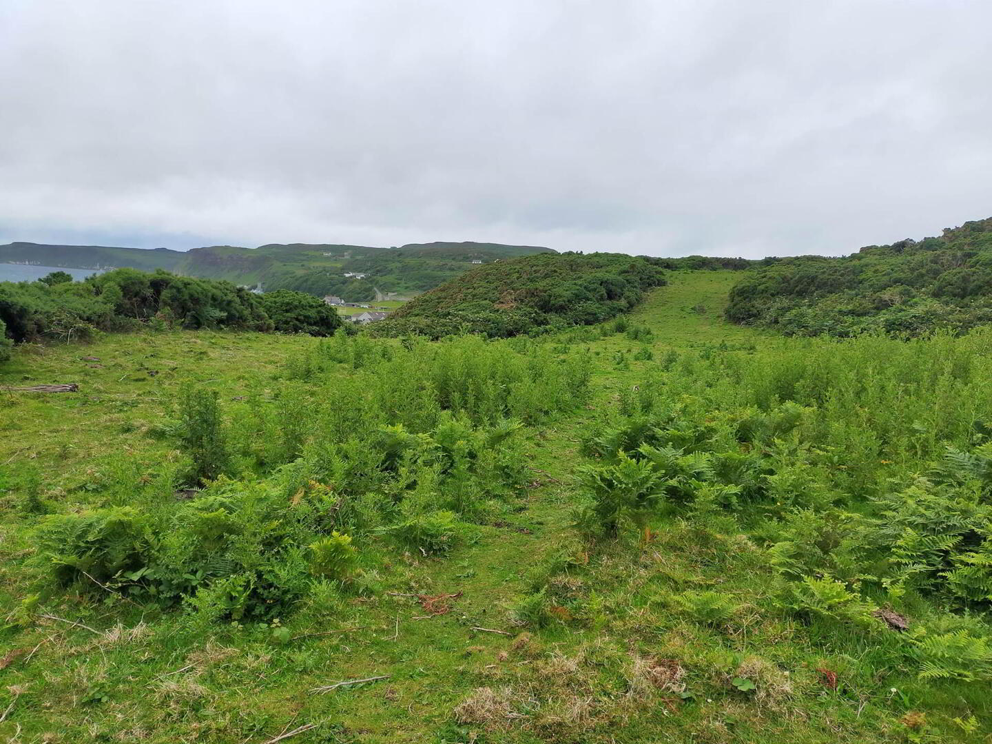 Approx. 22 Acres Land, Coolnagrock 8 of 15