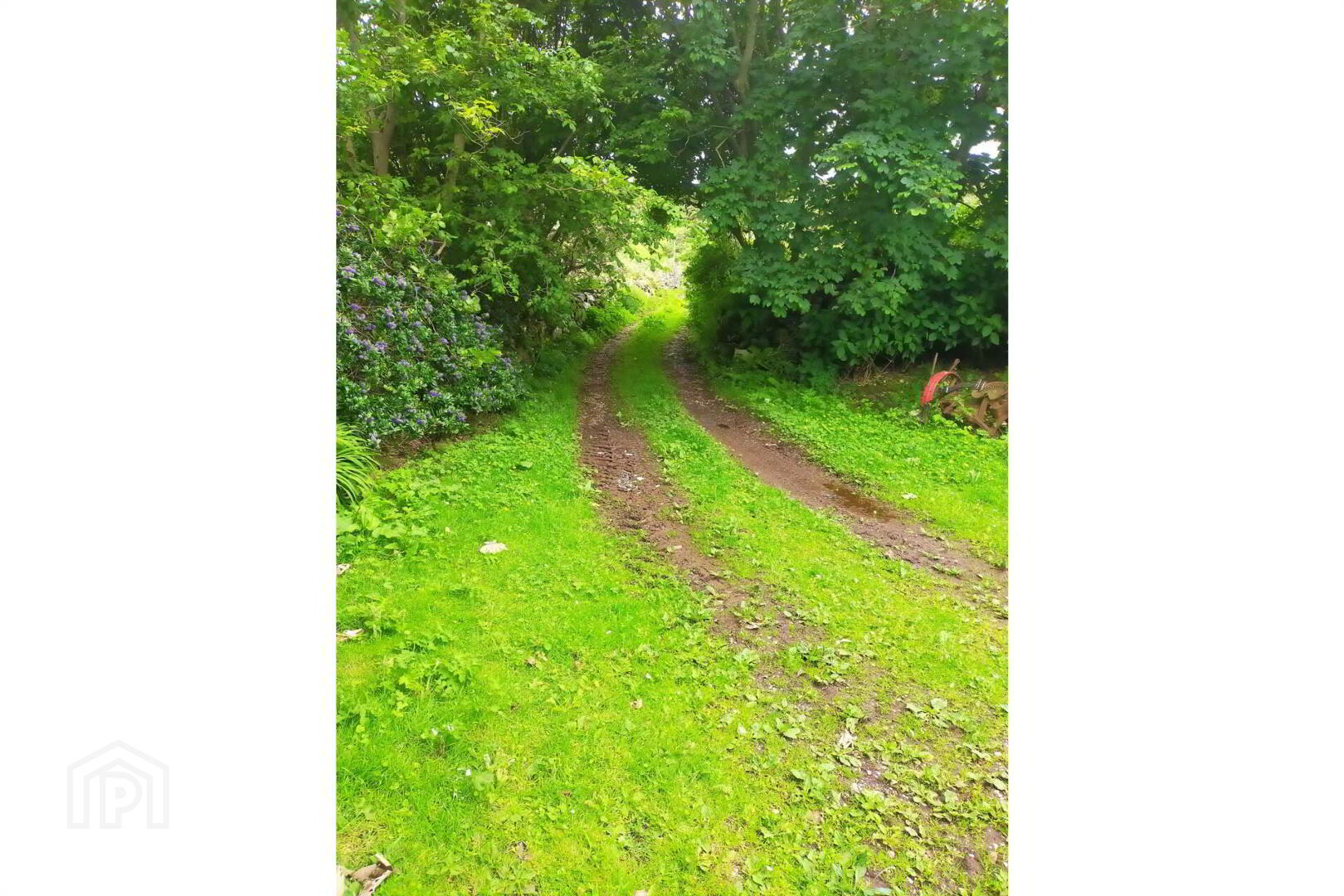 Approx. 22 Acres Land, Coolnagrock 5 of 15