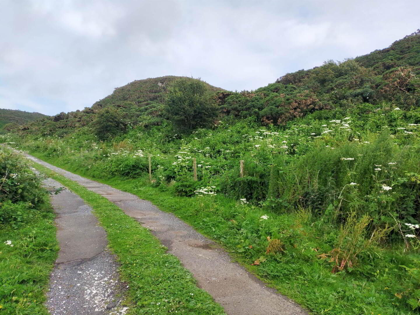 Approx. 22 Acres Land, Coolnagrock 15 of 15