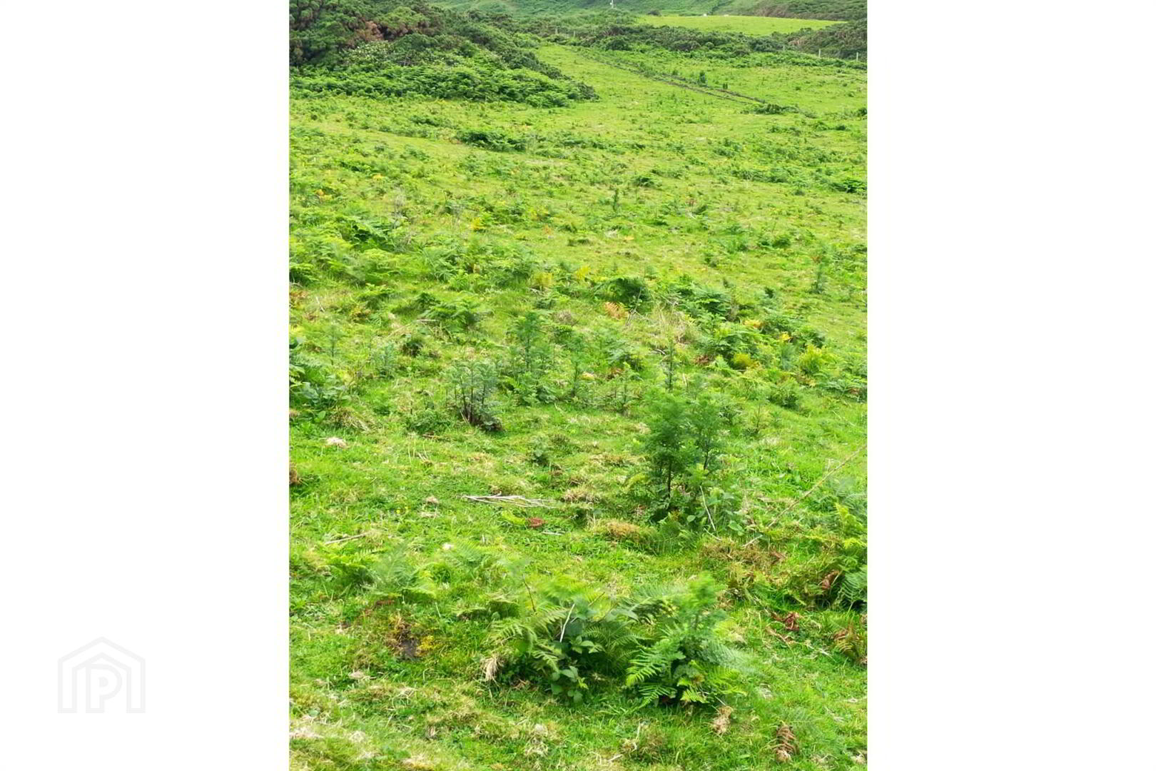 Approx. 22 Acres Land, Coolnagrock 11 of 15