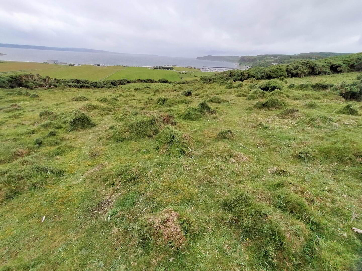 Approx. 22 Acres Land, Coolnagrock 9 of 15
