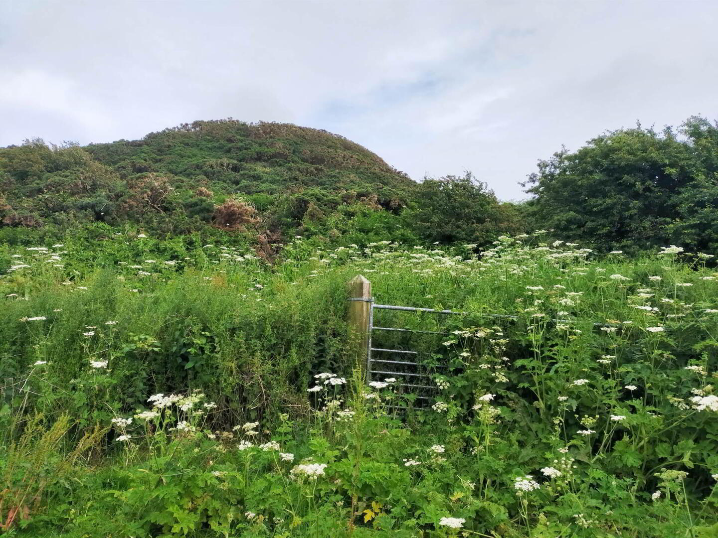 Approx. 22 Acres Land, Coolnagrock 14 of 15