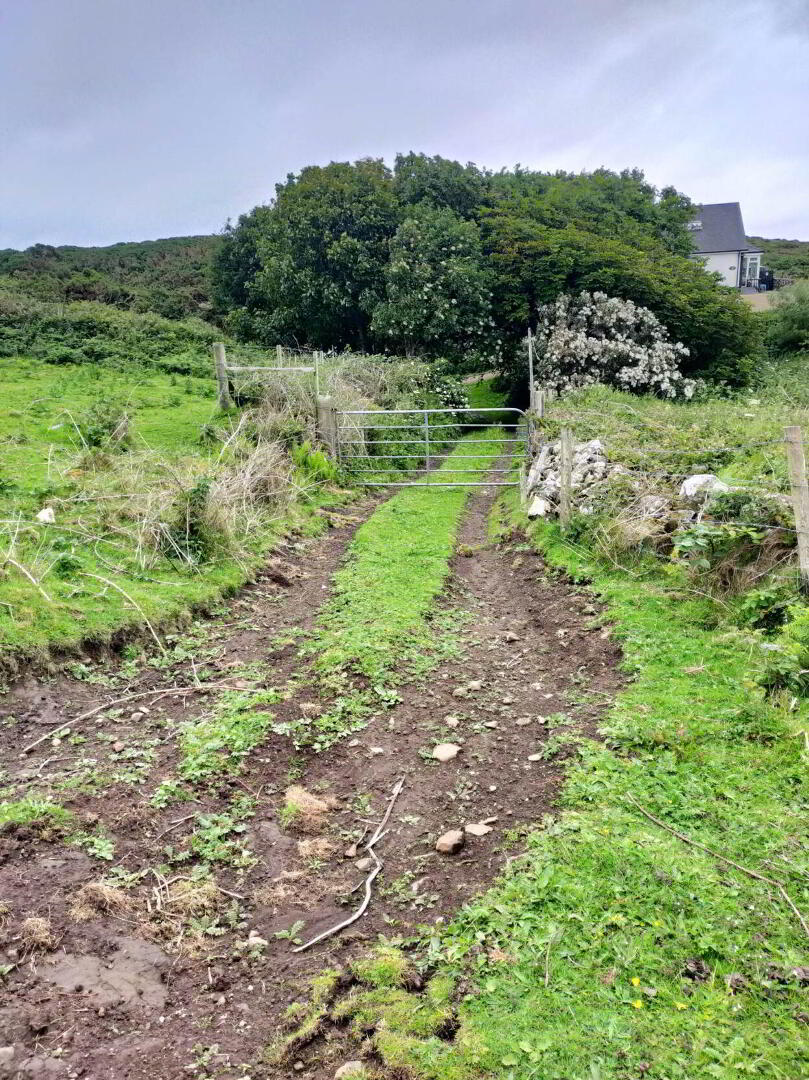 Approx. 22 Acres Land, Coolnagrock 13 of 15