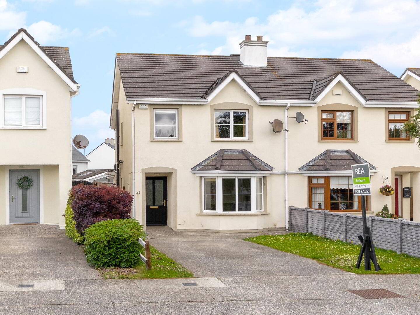 41 The Paddocks, Browneshill 1 of 23