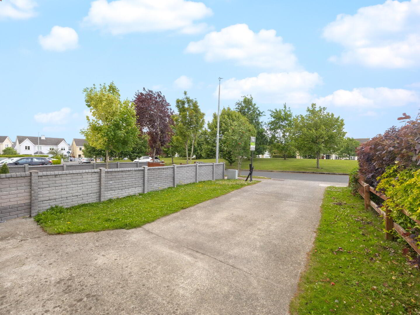 41 The Paddocks, Browneshill 4 of 23