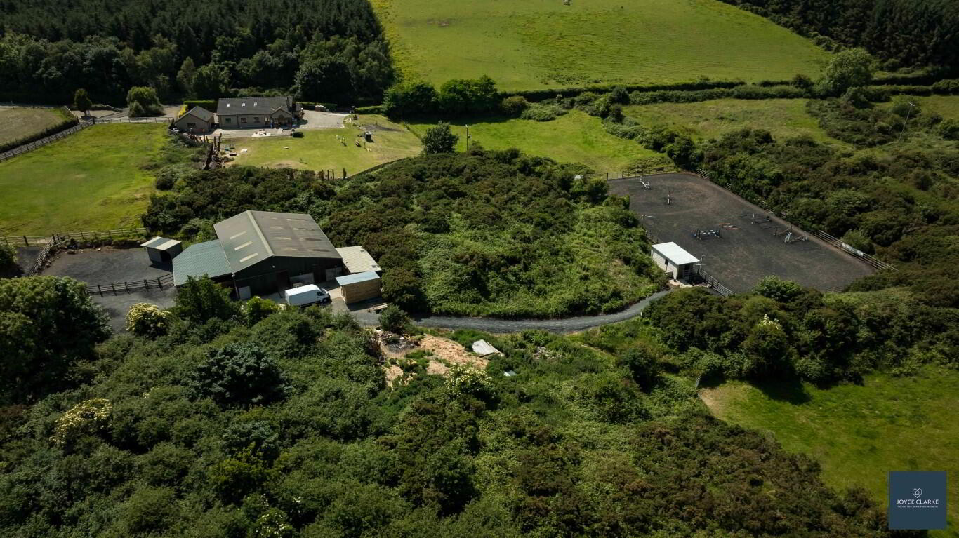 25b, Magheralone Road 49 of 51