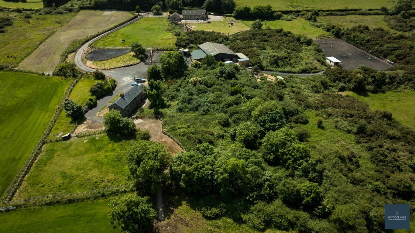 25b, Magheralone Road 51 of 51