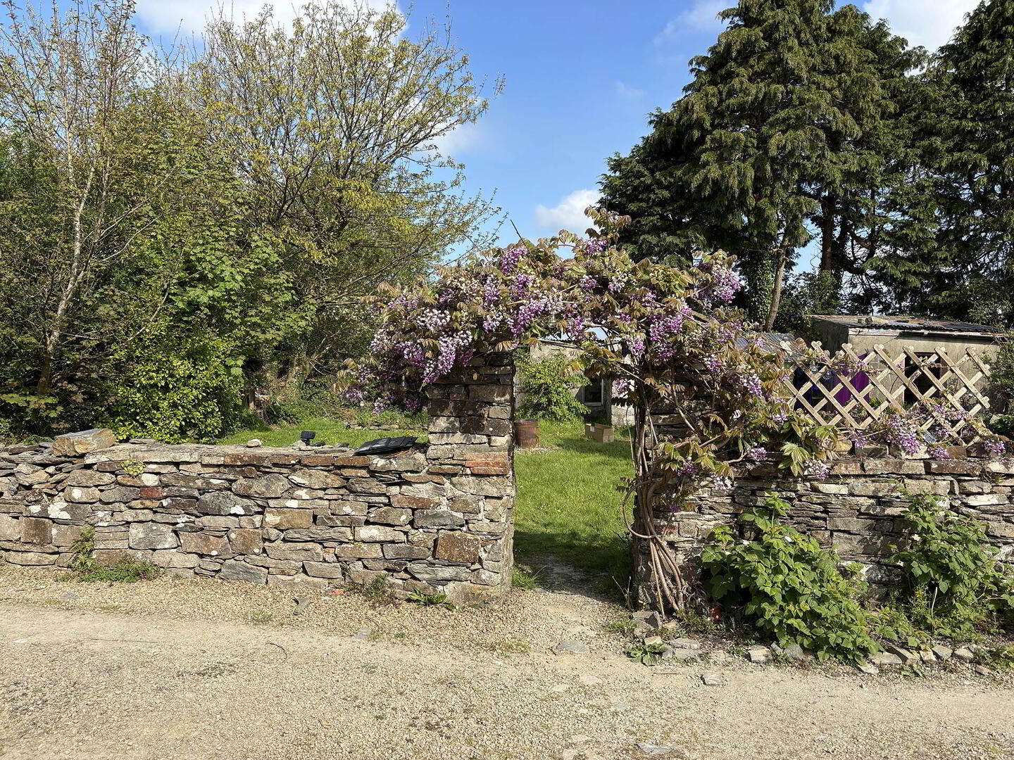 Willow Cottage 19 of 23