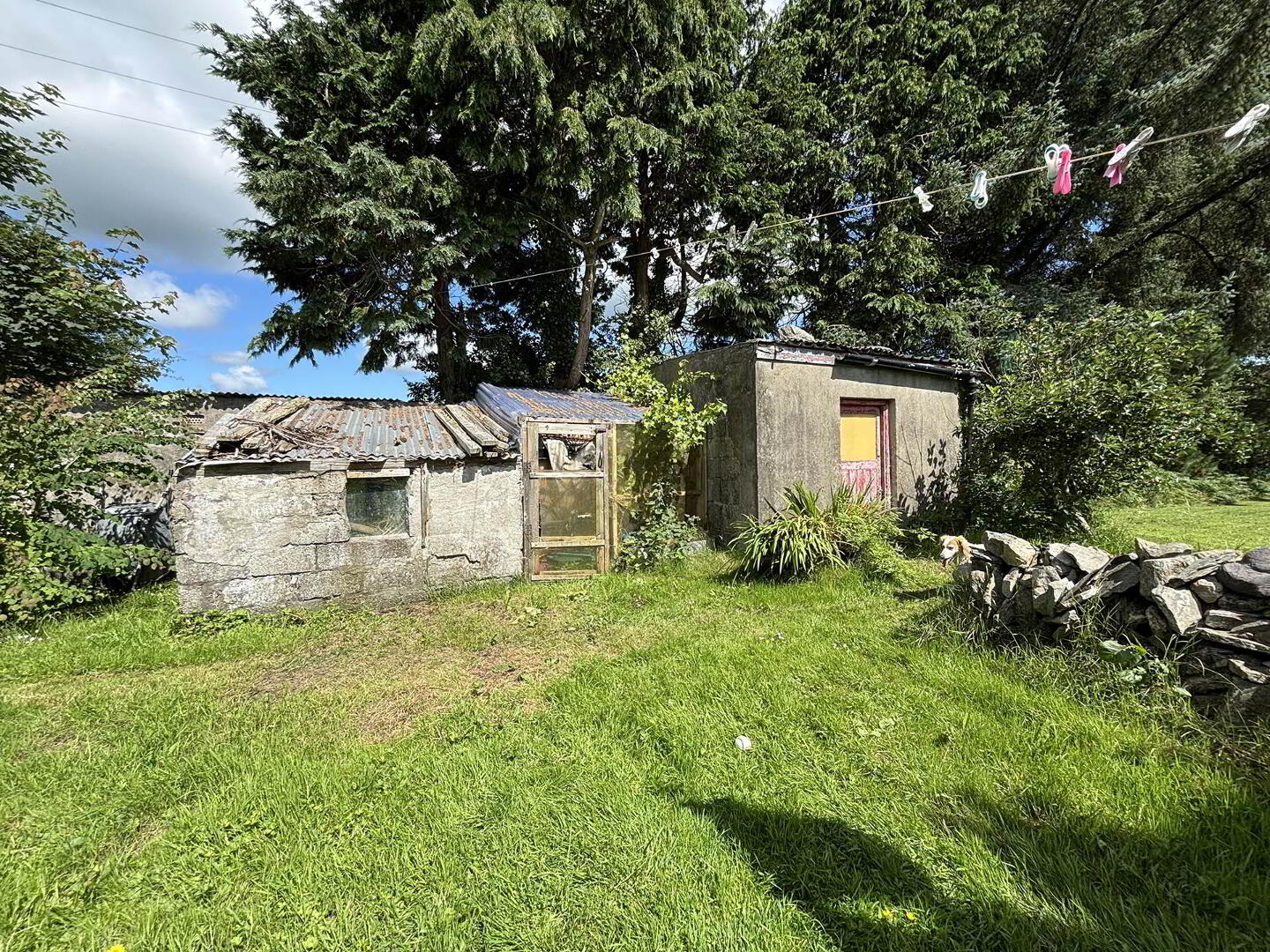Willow Cottage 20 of 23