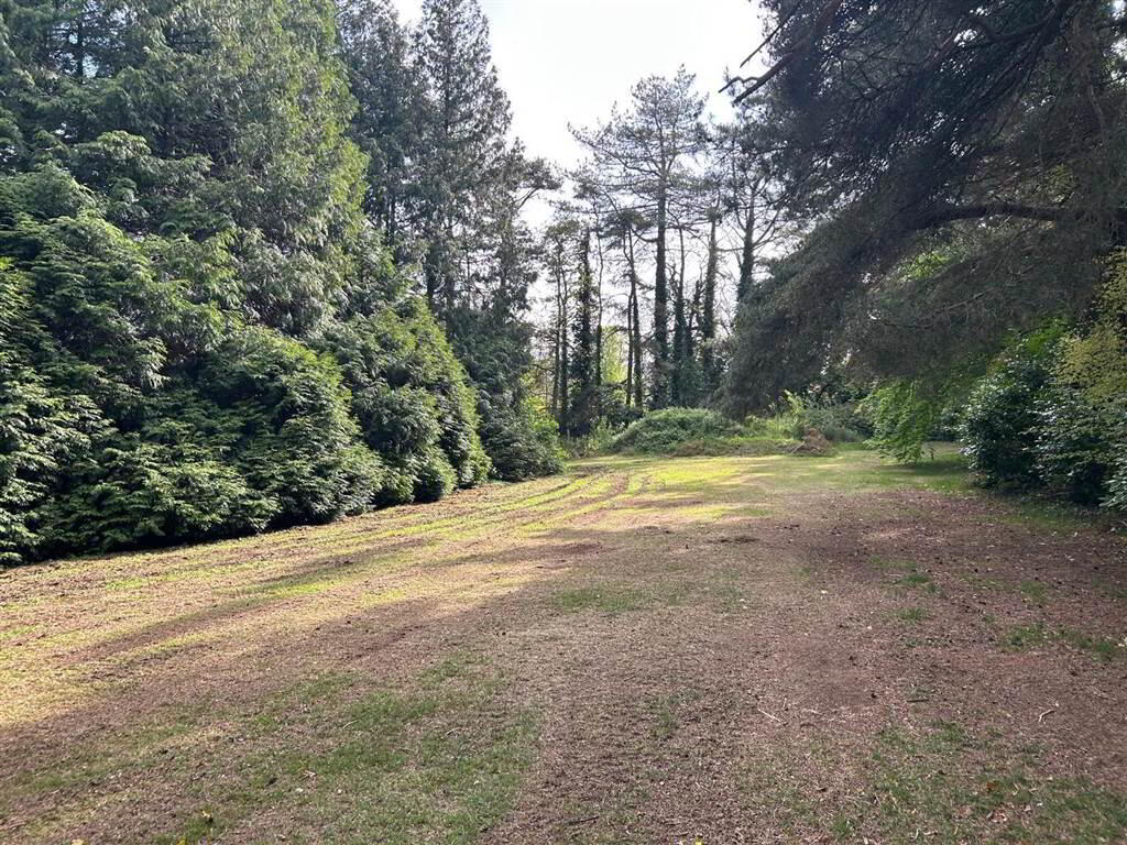The Pines, 76 Glenavy Road 5 of 43