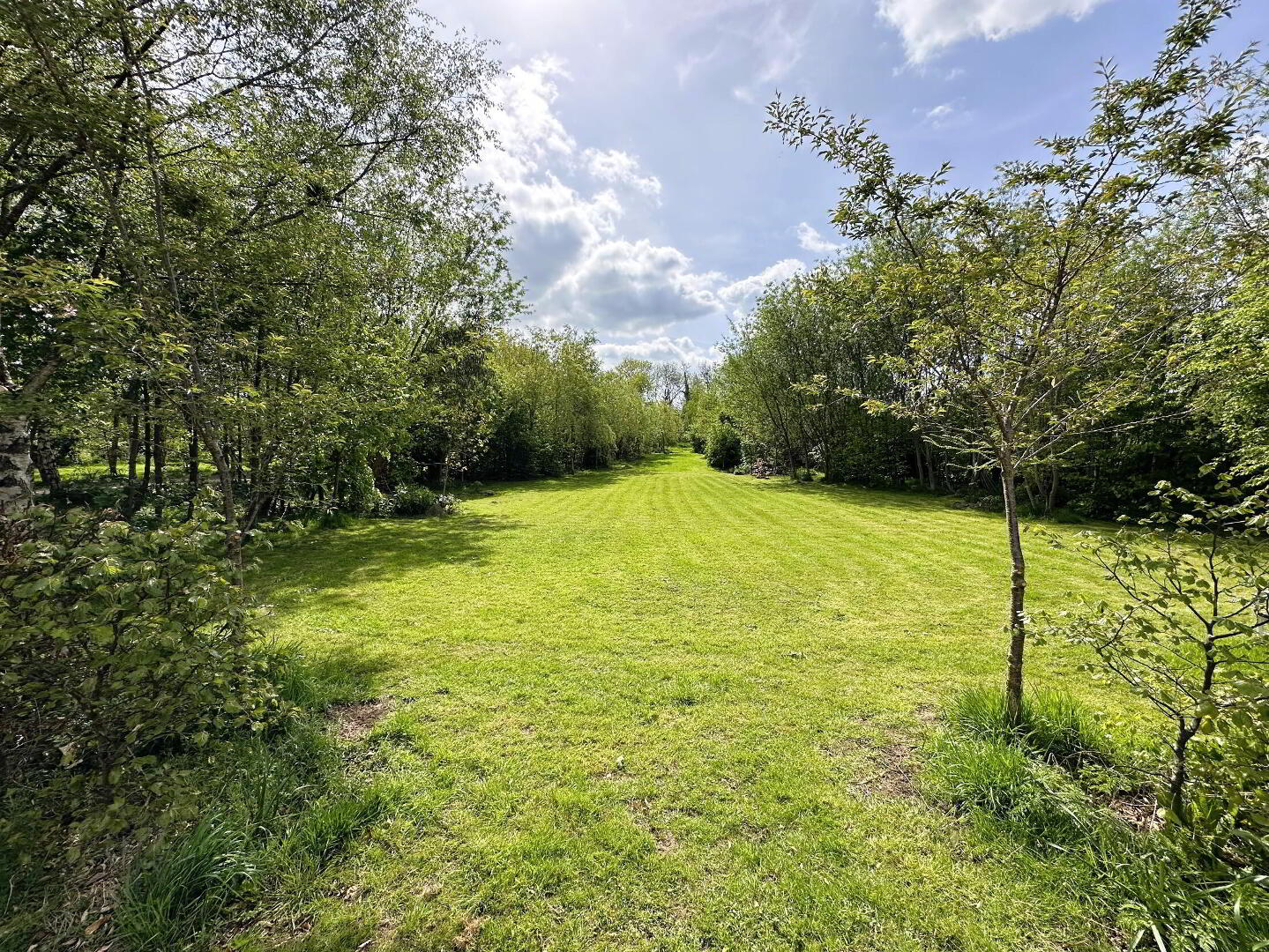 26 Corbet Road 50 of 61