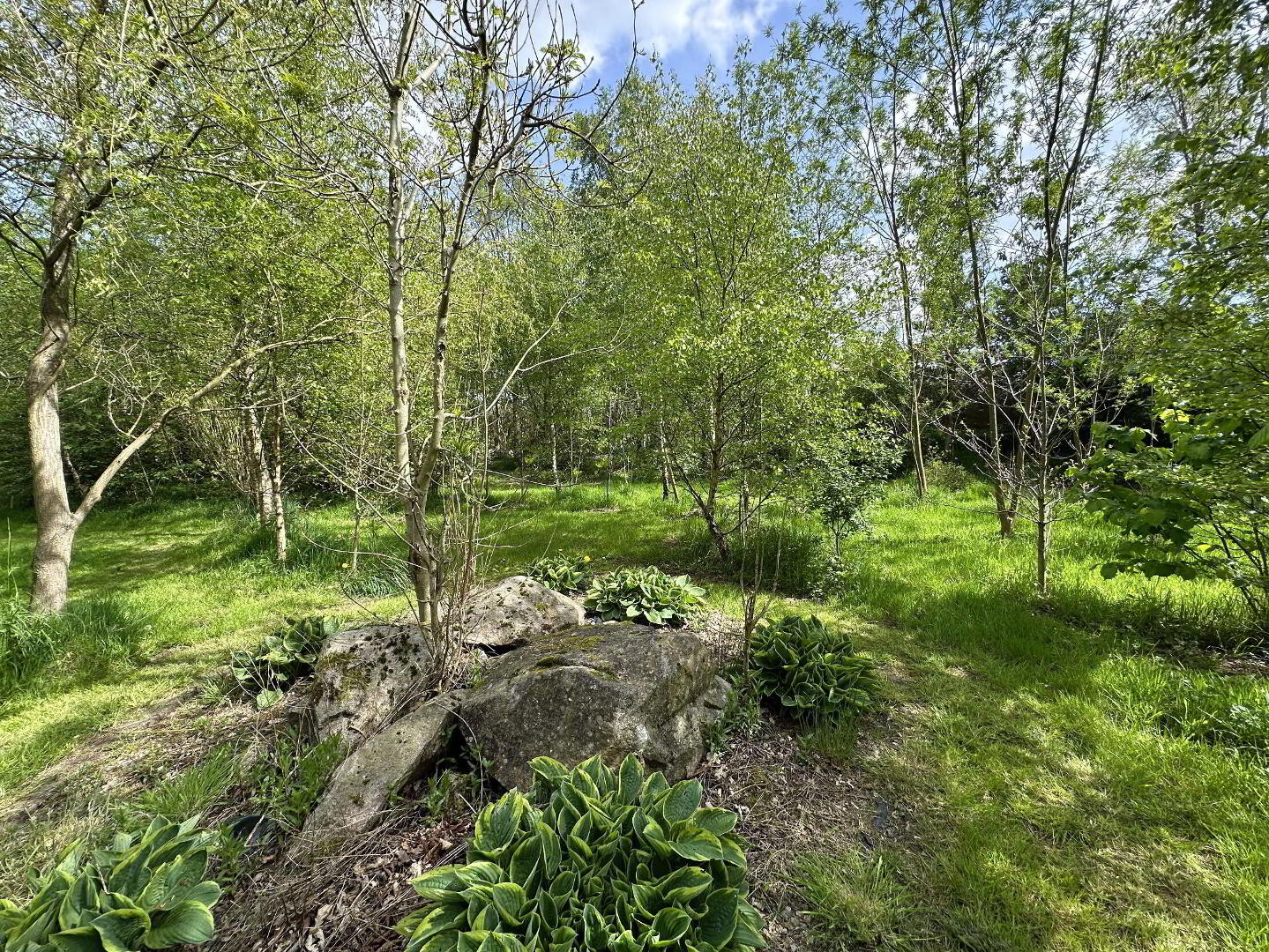 26 Corbet Road 55 of 61