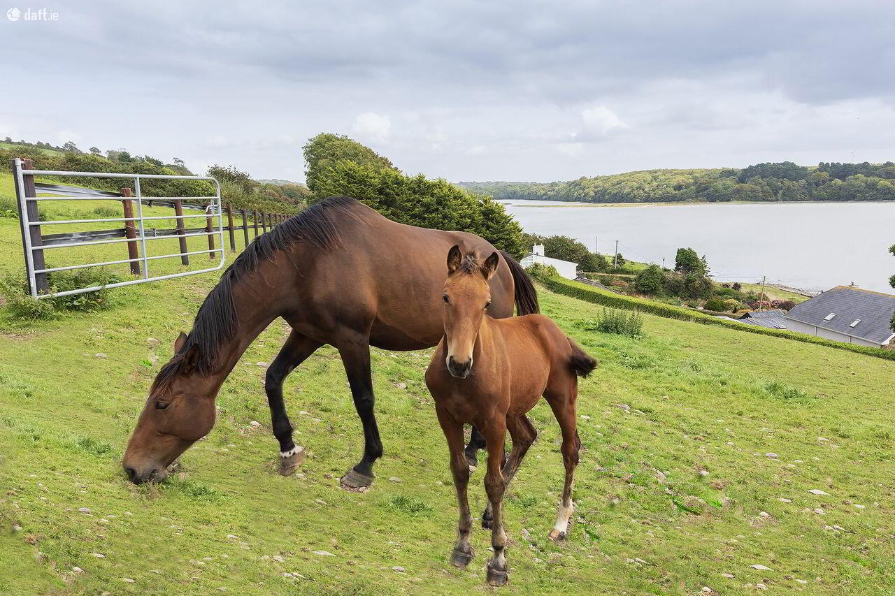 Sea View Stables 3 of 32