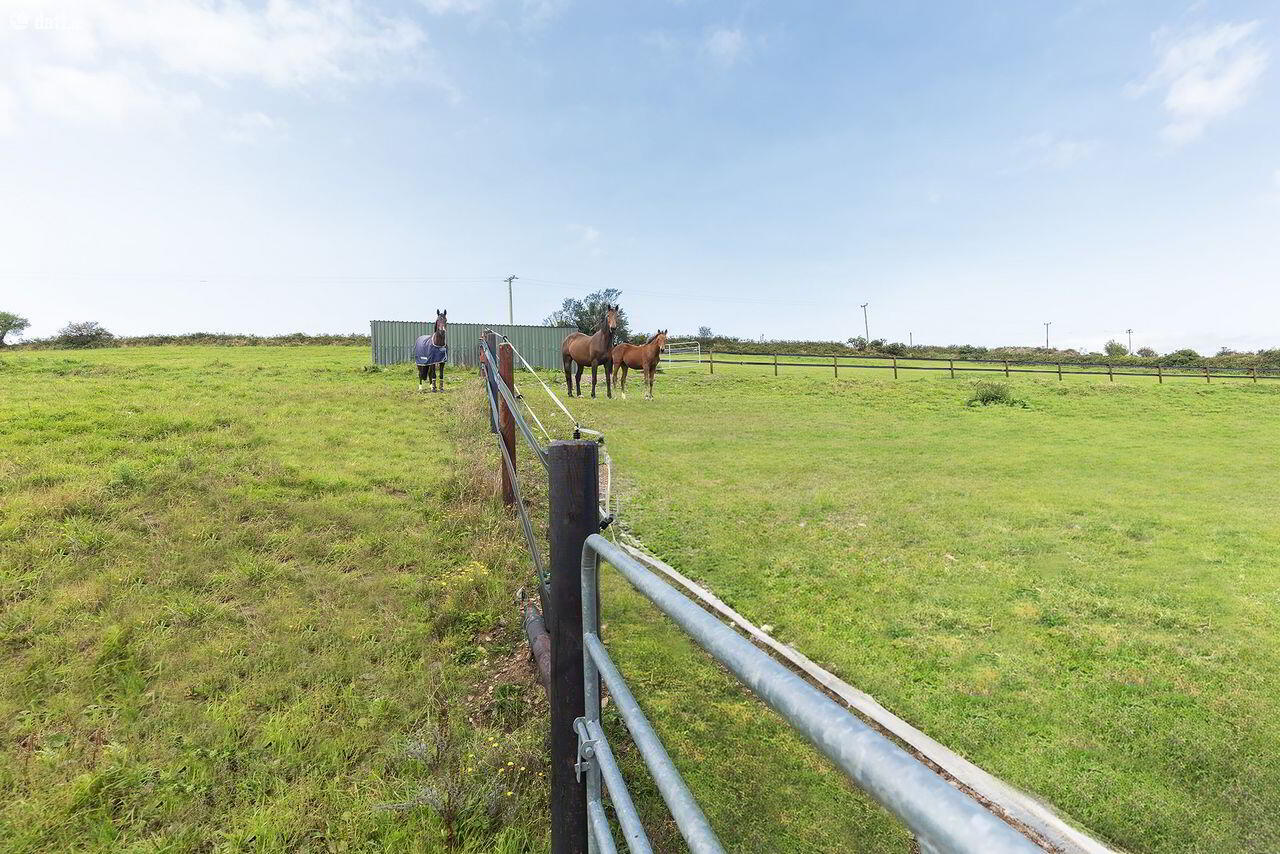 Sea View Stables 4 of 32