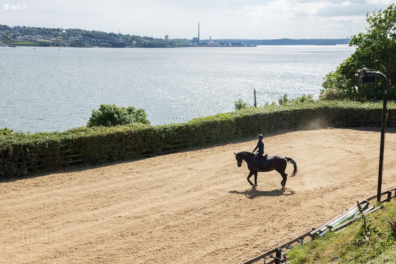 Sea View Stables 7 of 32
