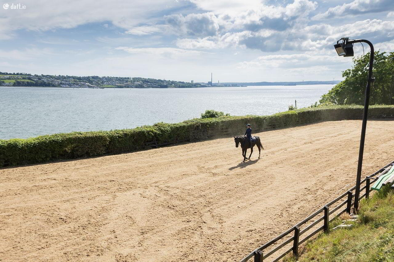 Sea View Stables 8 of 32