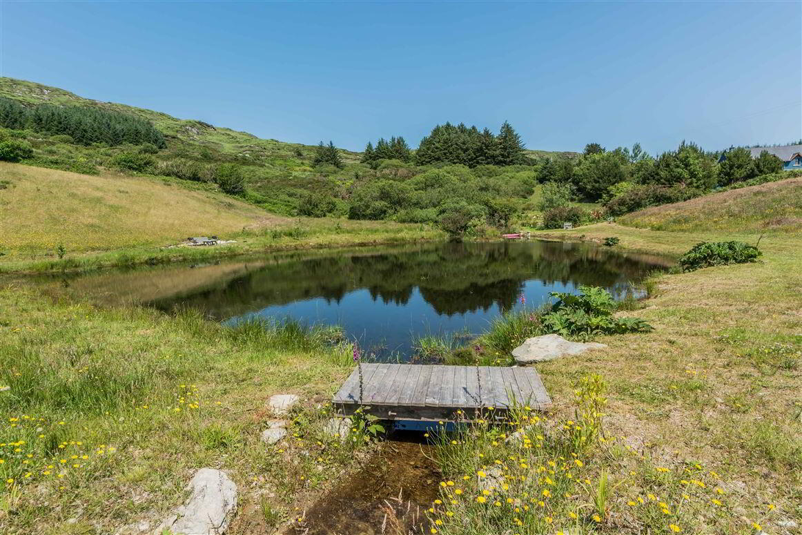 Norfolk House, Gurranes West Cork 3 of 42