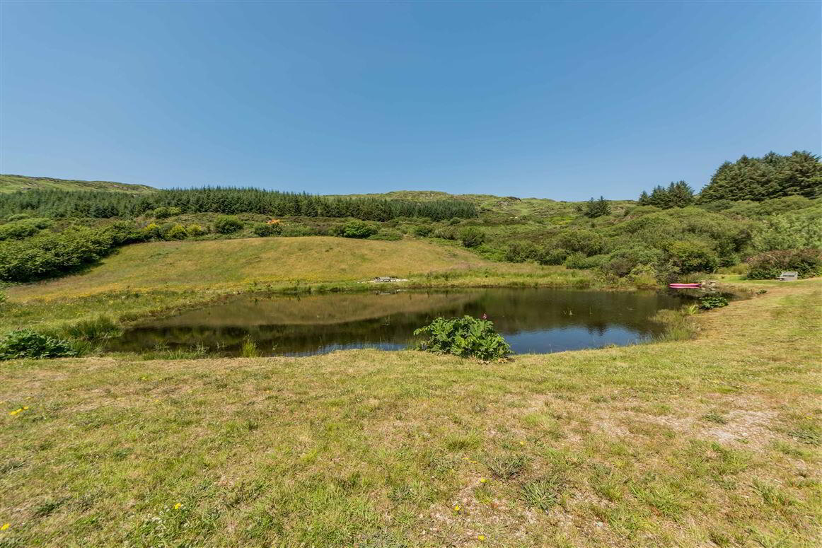 Norfolk House, Gurranes West Cork 33 of 42