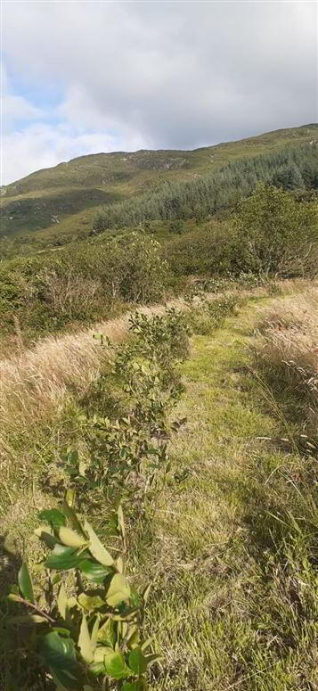 Norfolk House, Gurranes West Cork 37 of 42