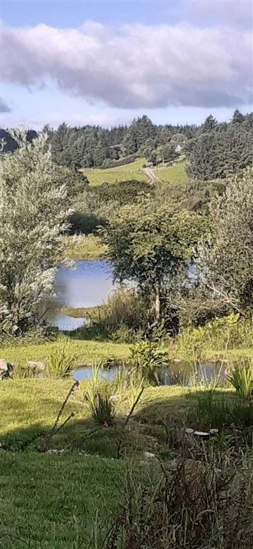 Norfolk House, Gurranes West Cork 40 of 42
