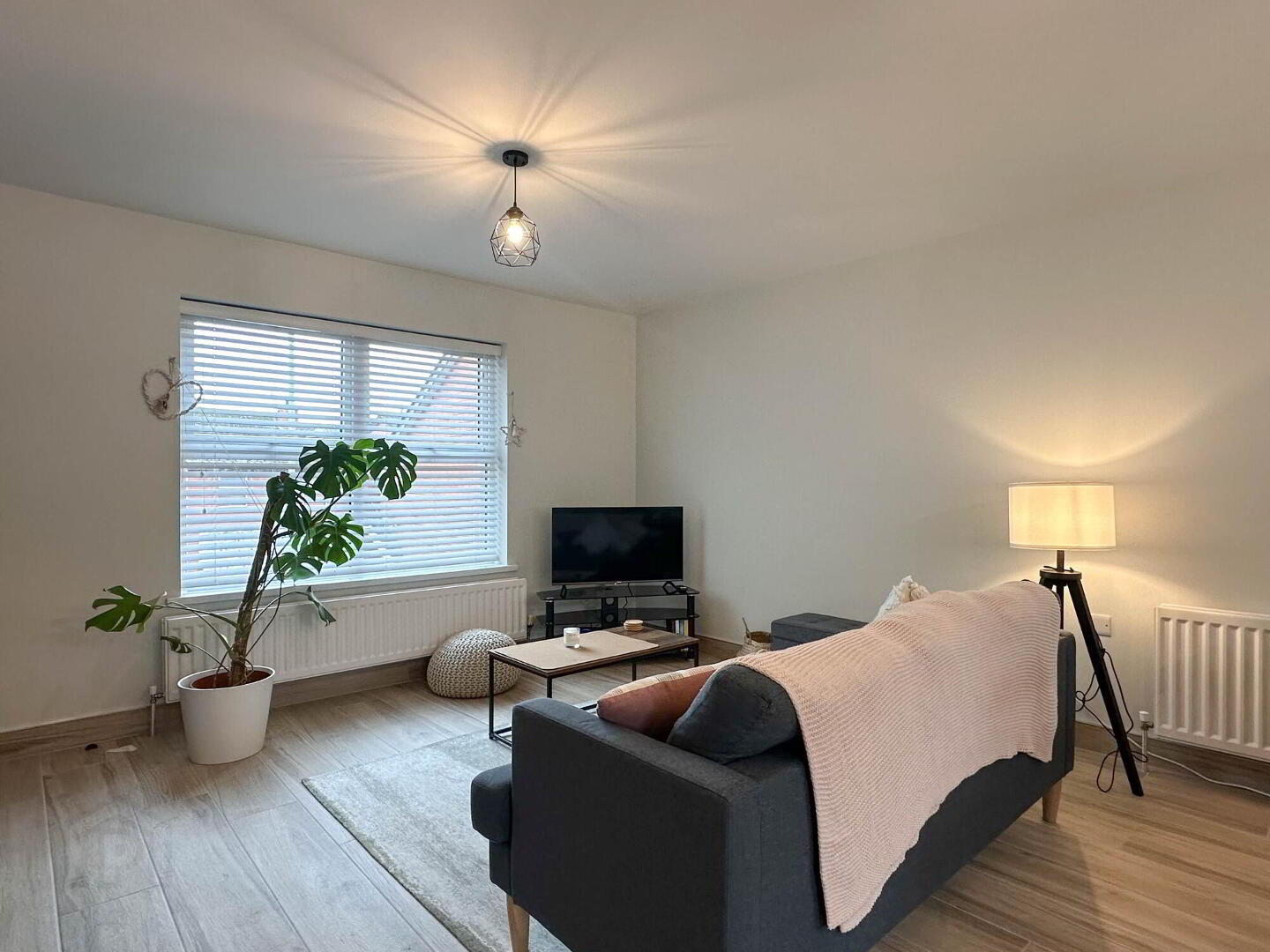 Apt 5, Circular Road Mews 6 of 24