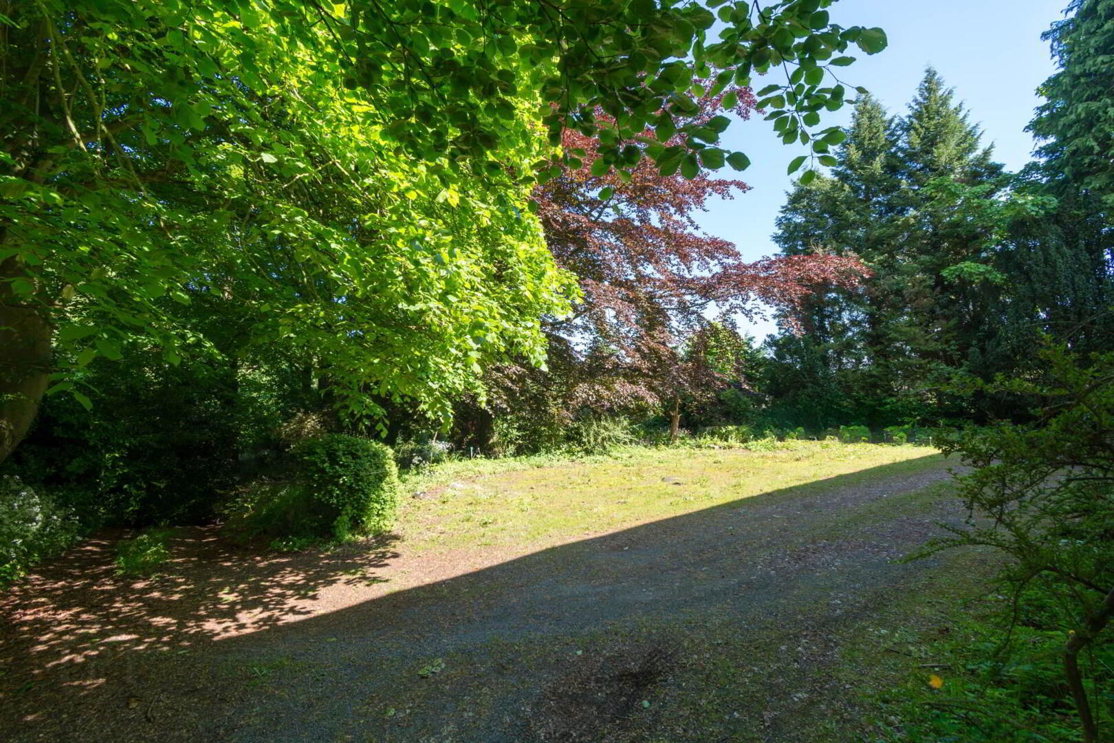 Milltown House, Derriaghy Road 6 of 9