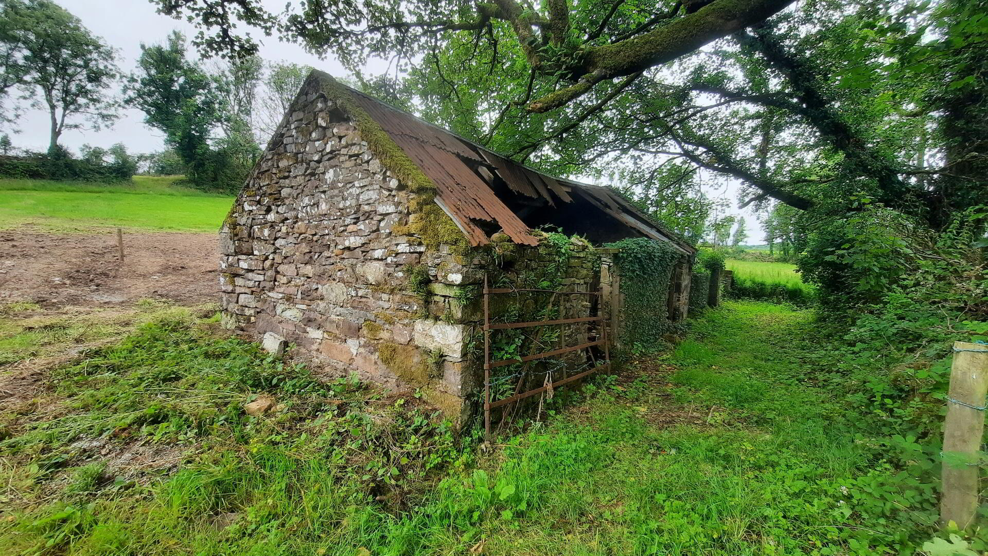 Knocknageeha 10 of 21