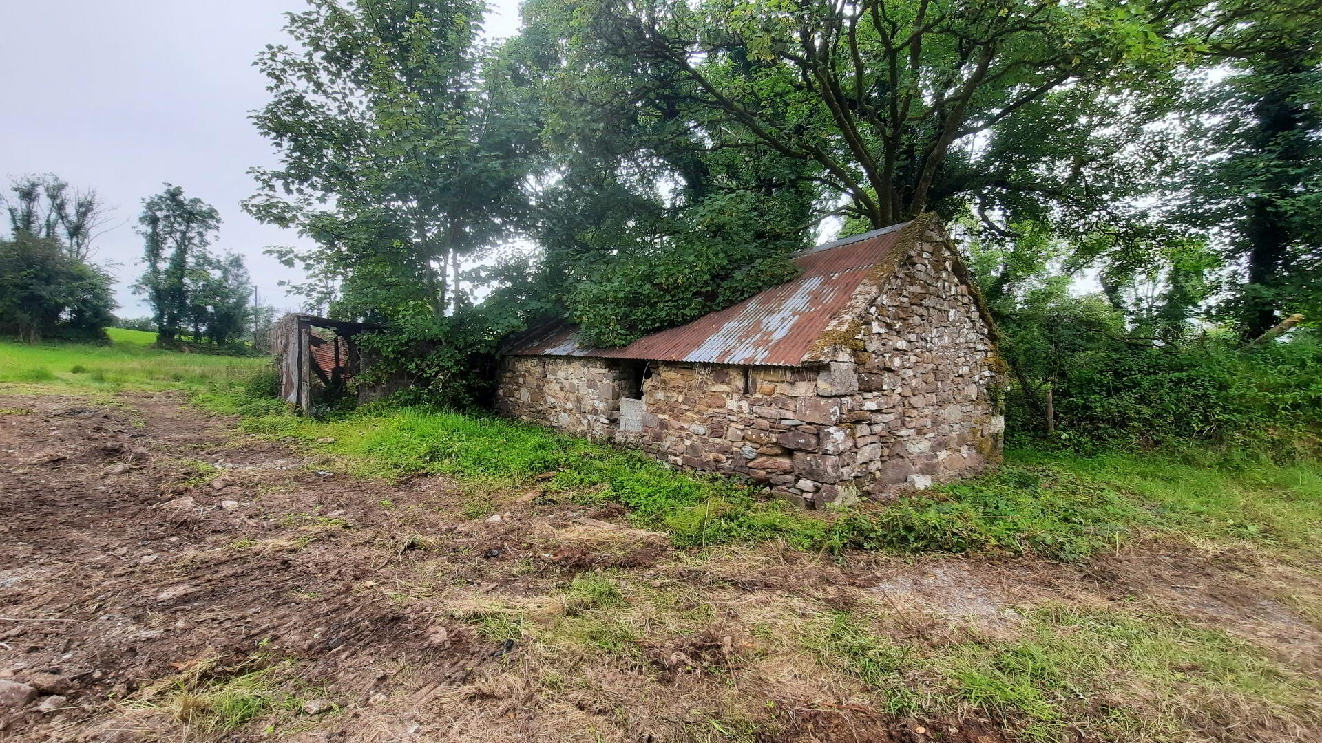 Knocknageeha 11 of 21