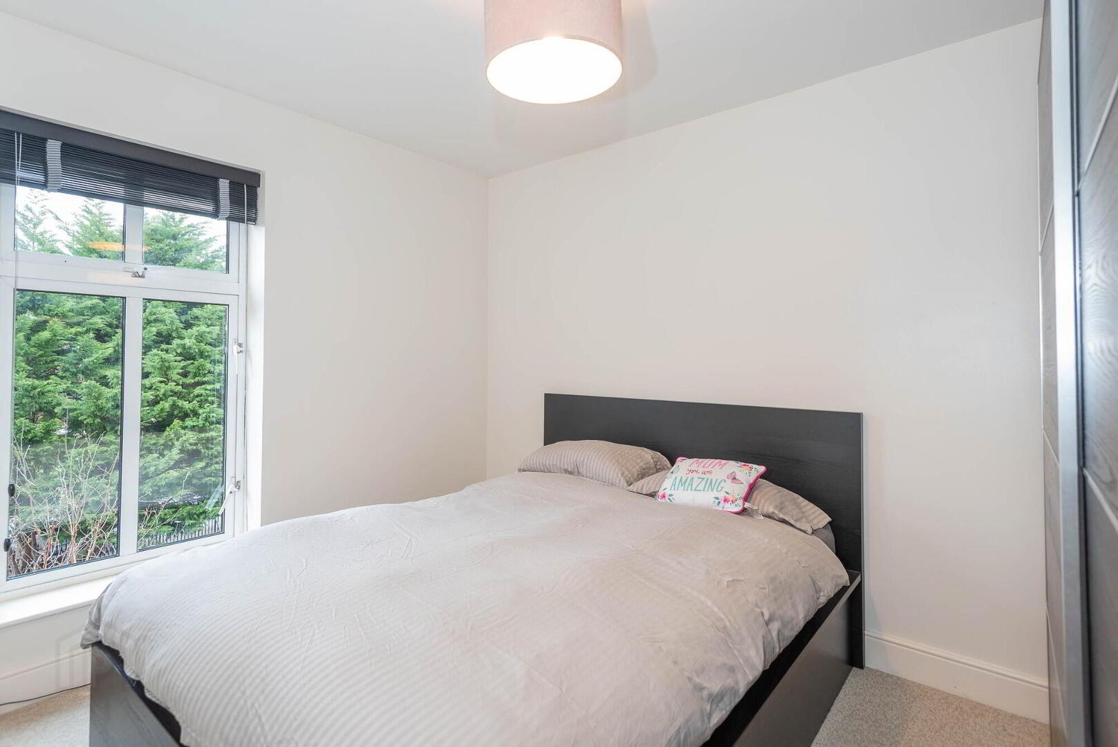 Apt 9, 1 Deramore Park South 11 of 15