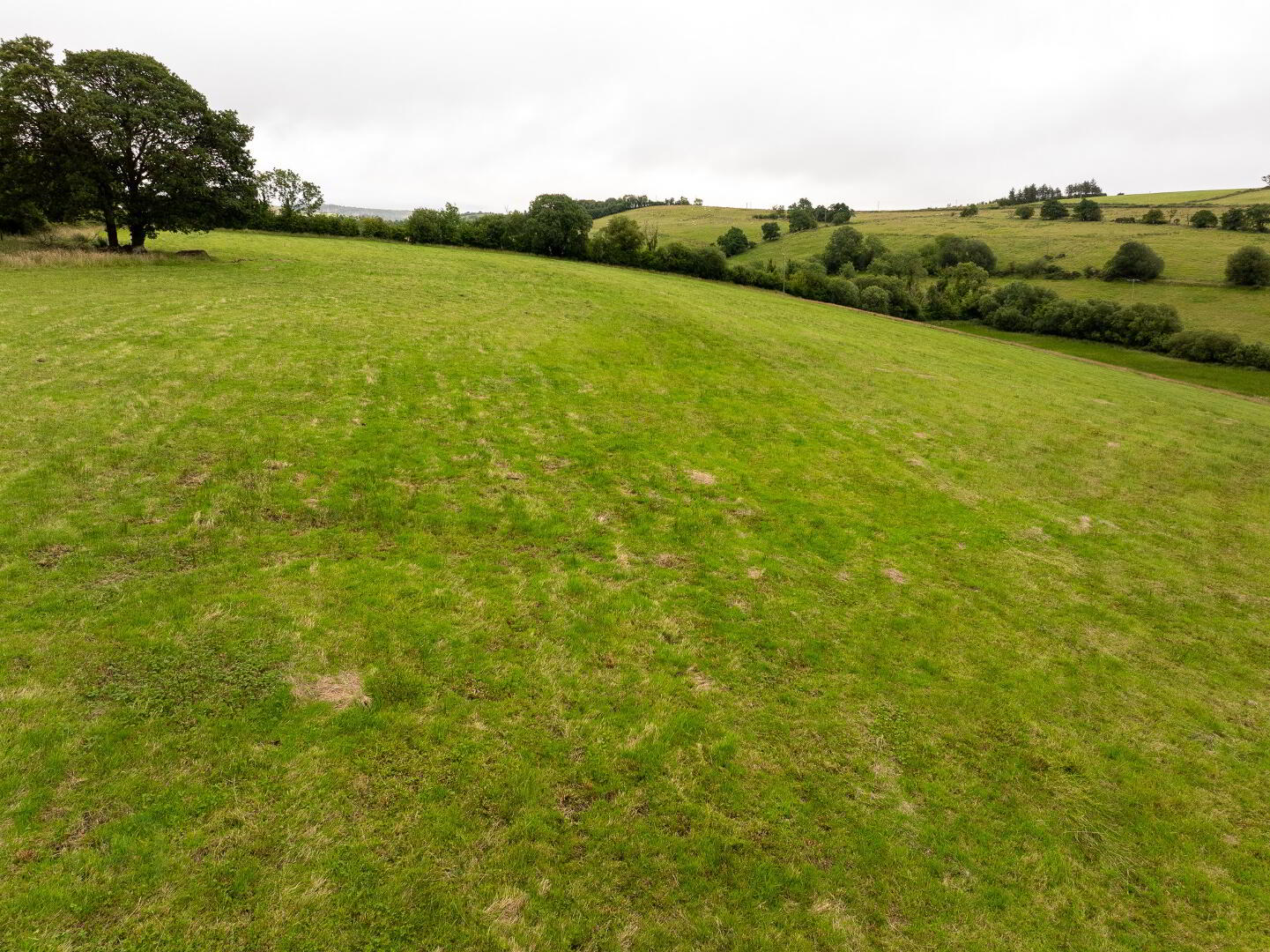 Lands At 'Drumduff' 8 of 15