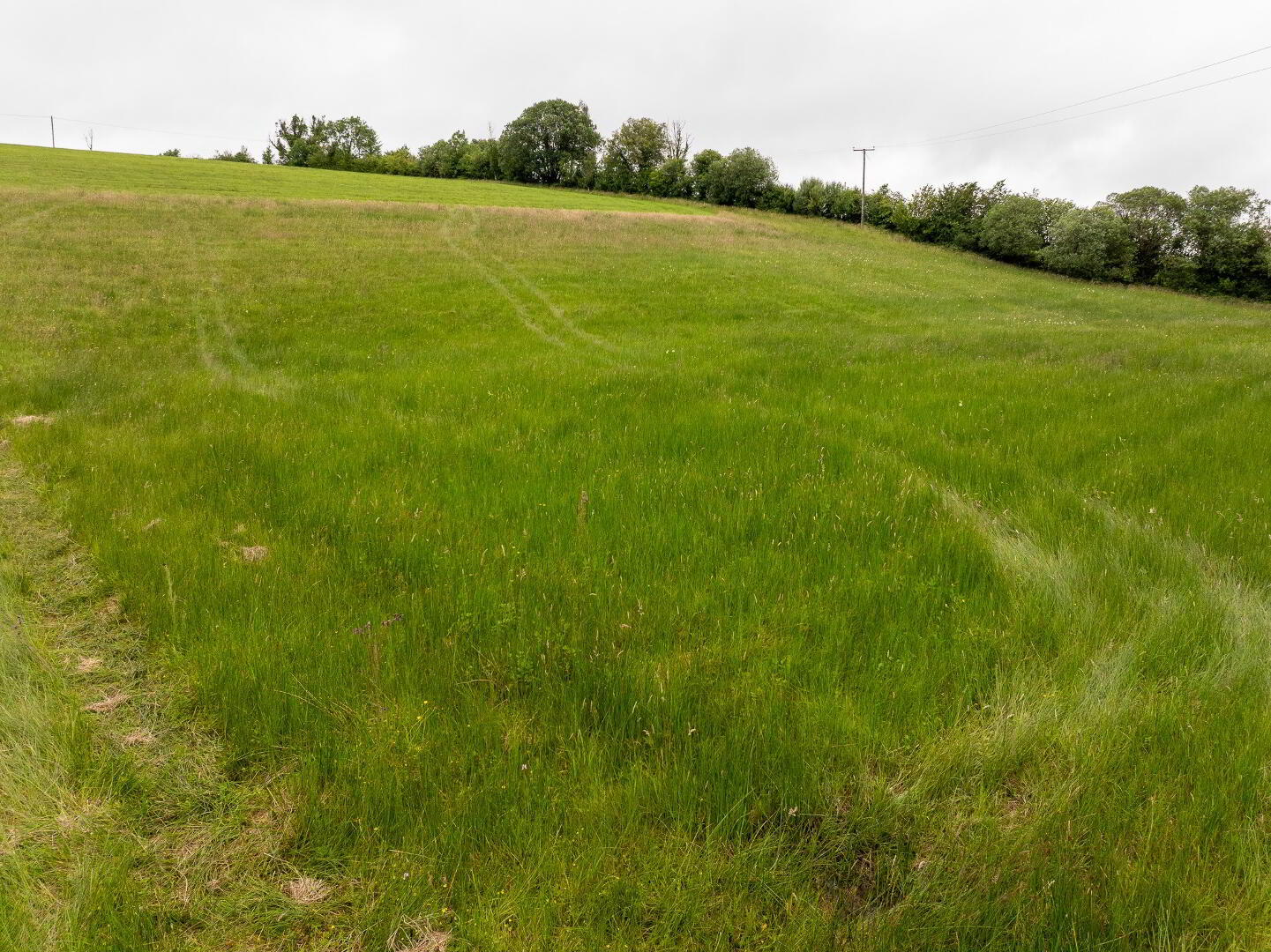 Lands At 'Drumduff' 9 of 15