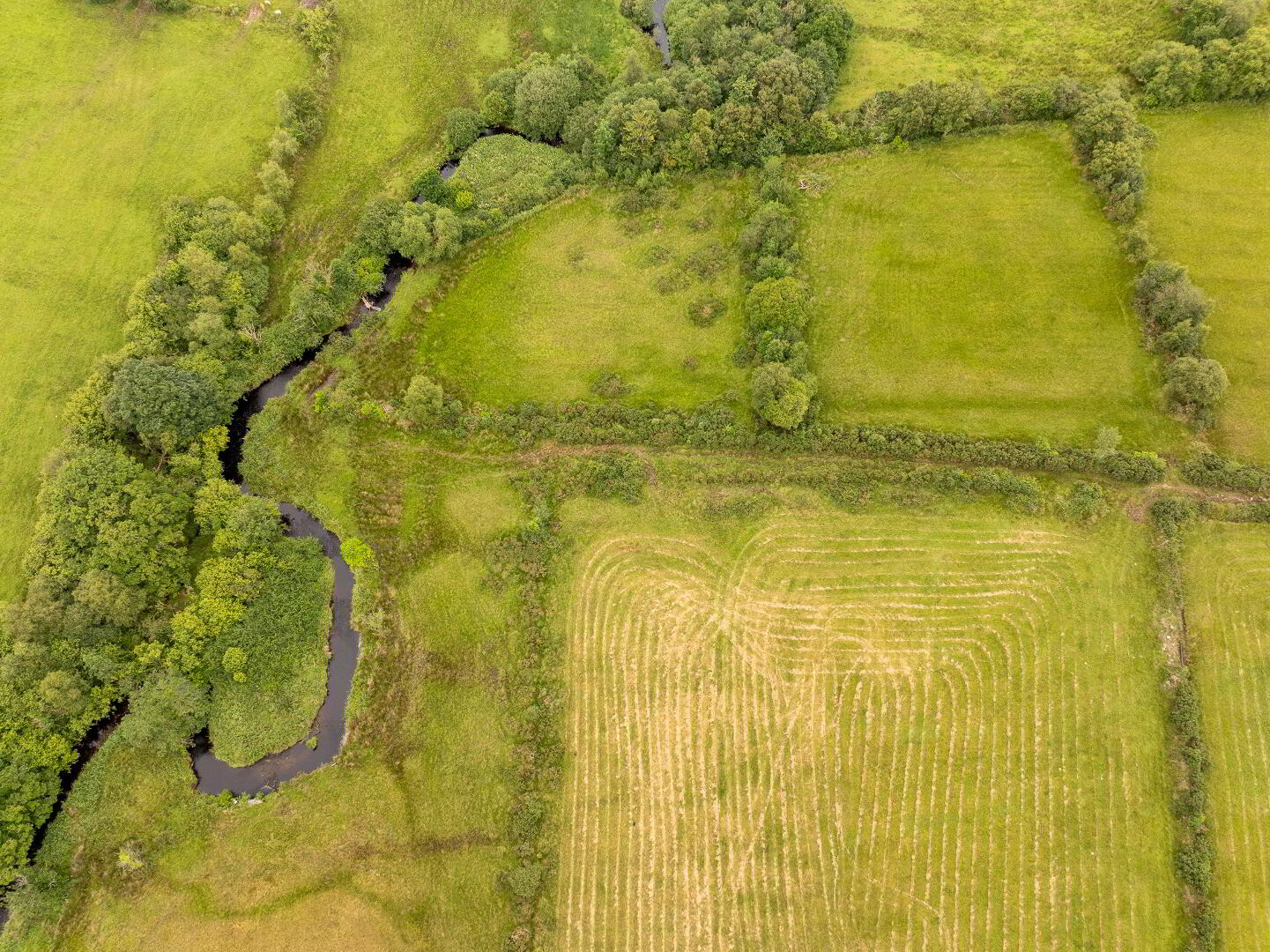 Lands At 'Drumduff' 10 of 15