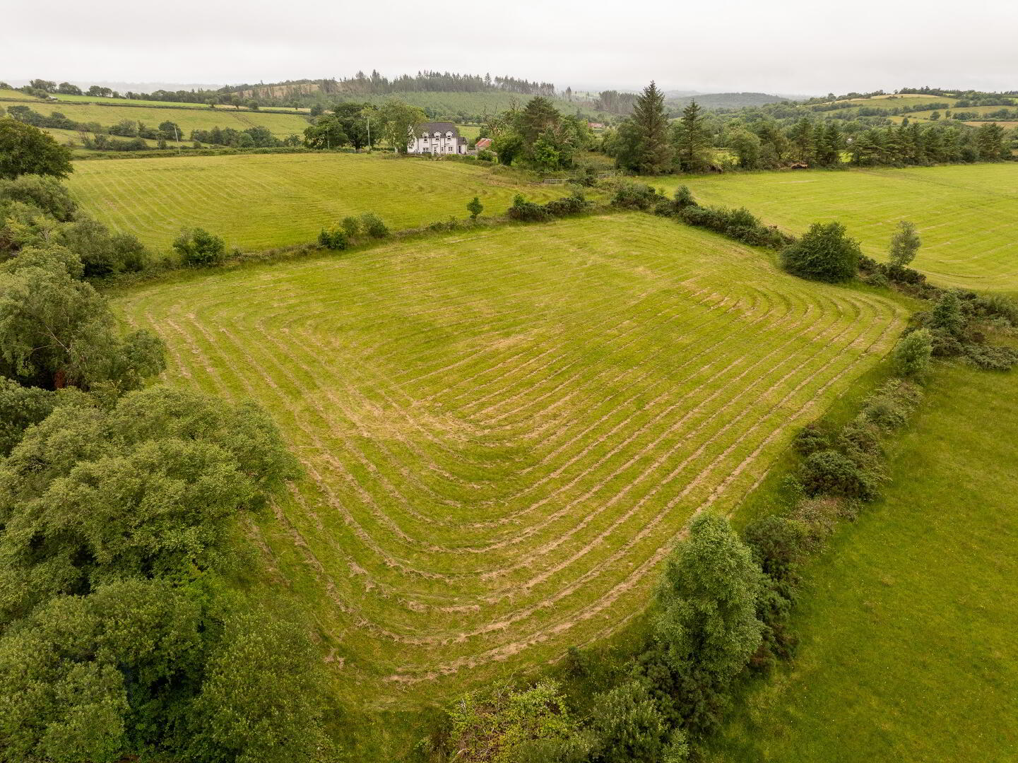 Lands At 'Drumduff' 11 of 15