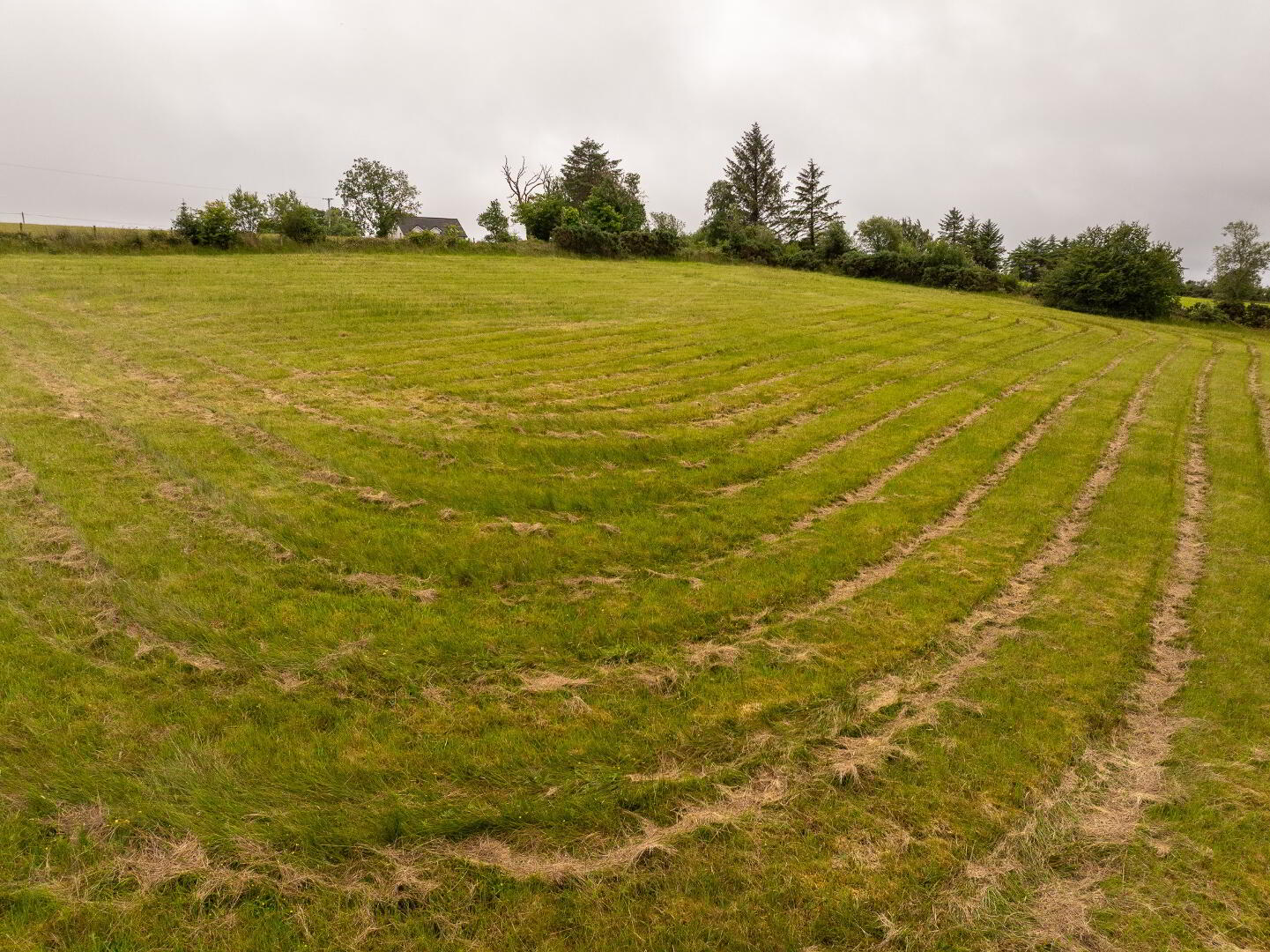 Lands At 'Drumduff' 12 of 15