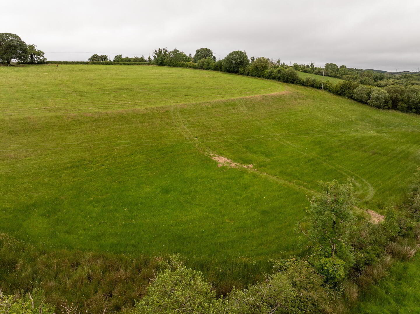 Lands At 'Drumduff' 13 of 15