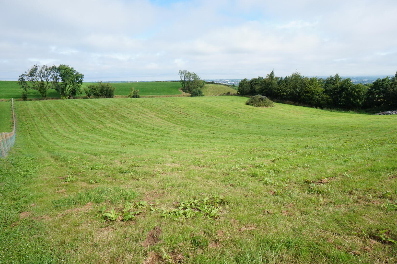 property description image