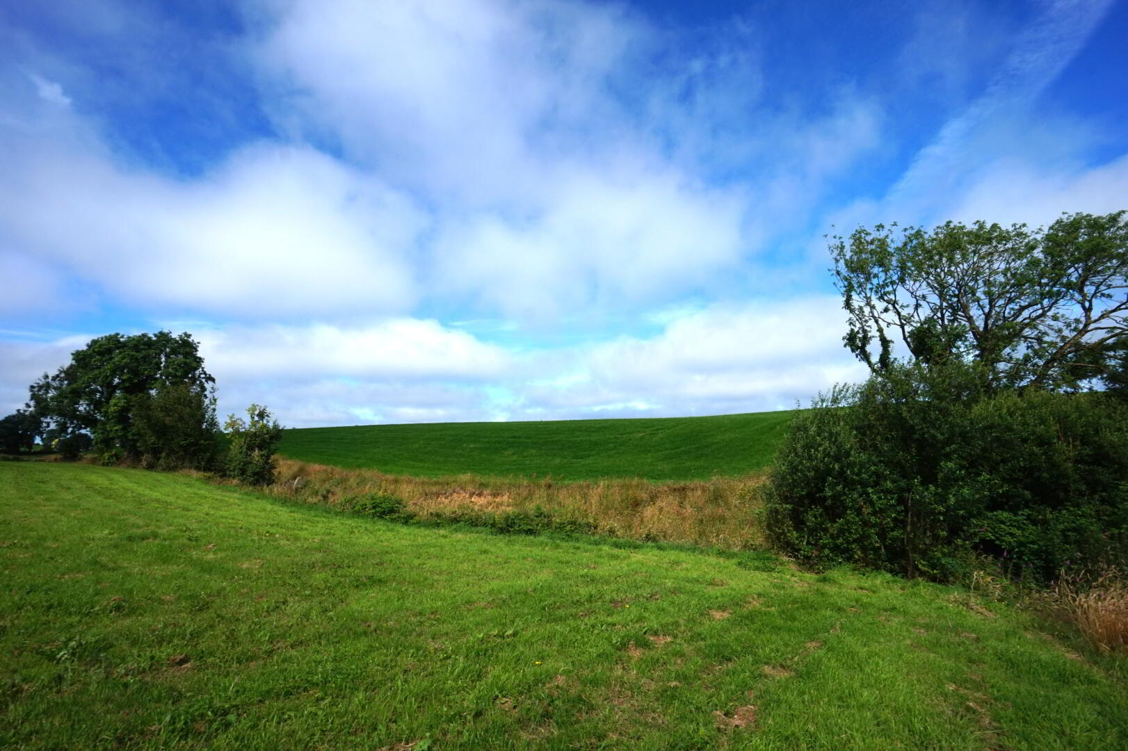 property description image