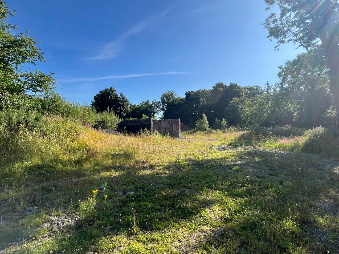 1.8 Acre Site With Basement Constructed, 220m East Of 56 Cahore Road 6 of 9
