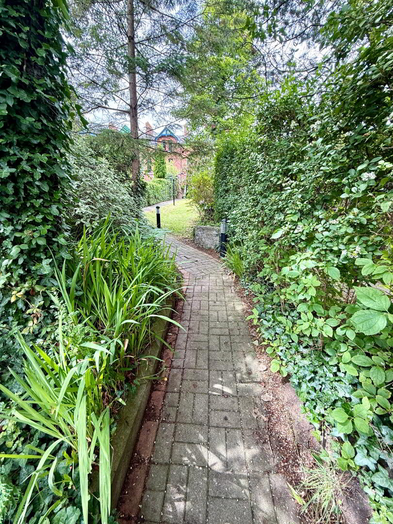 10 Deburgh Terrace 42 of 46