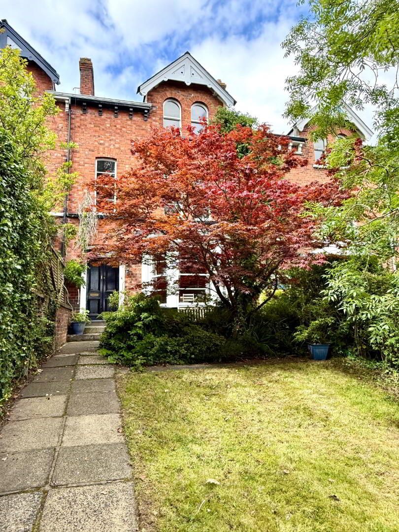 10 Deburgh Terrace 3 of 46