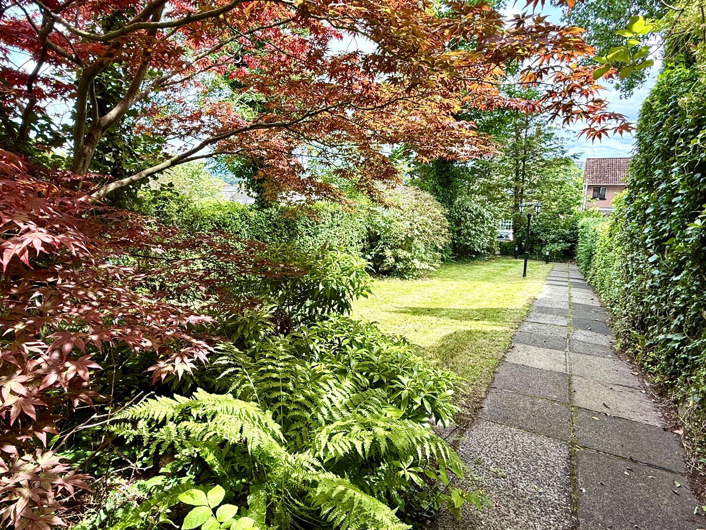 10 Deburgh Terrace 43 of 46