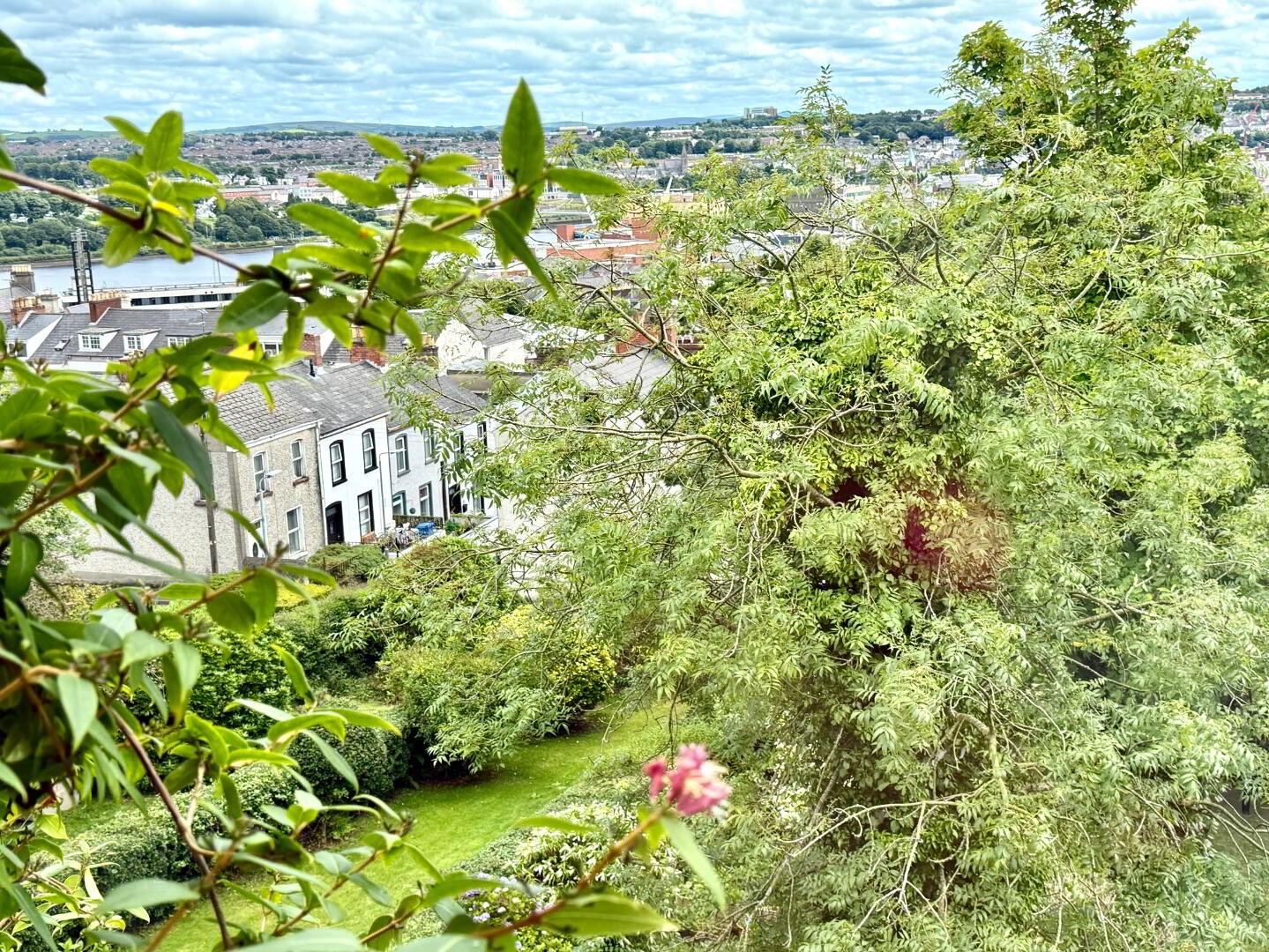 10 Deburgh Terrace 45 of 46