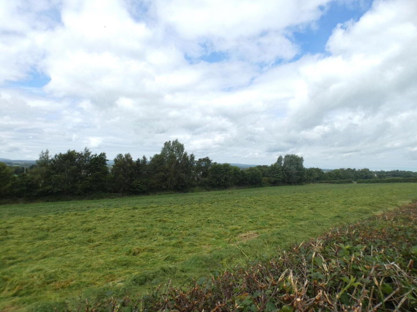 Circa 33 Acres Of Land At, 77 Vow Road 6 of 13