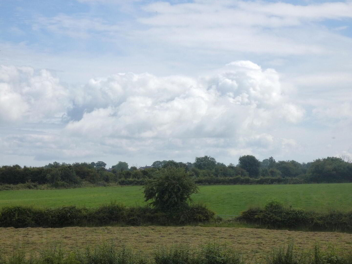 Circa 33 Acres Of Land At, 77 Vow Road 8 of 13